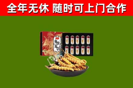 林芝市回收冬虫夏草价格